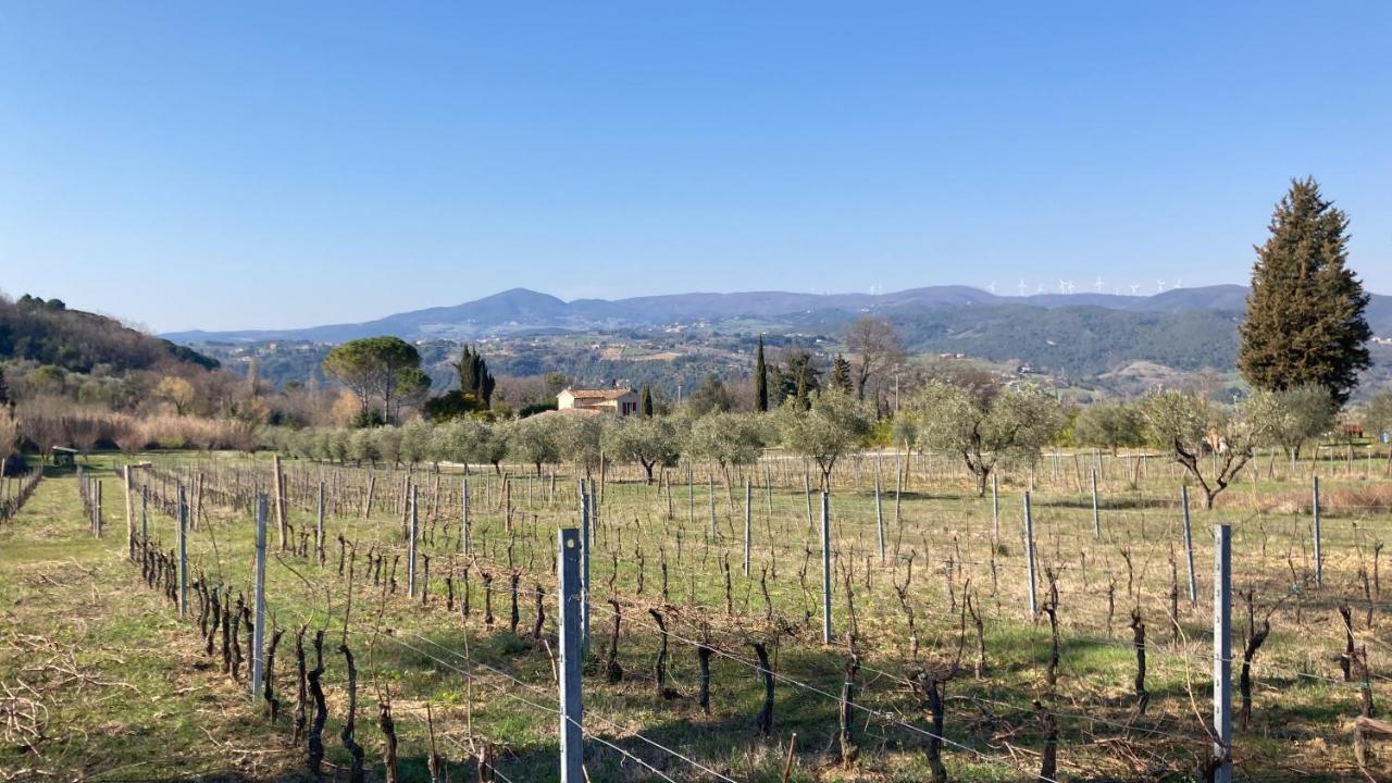 Le Giuncaie - Vigna Con Alloggio مونتيسكودايو المظهر الخارجي الصورة