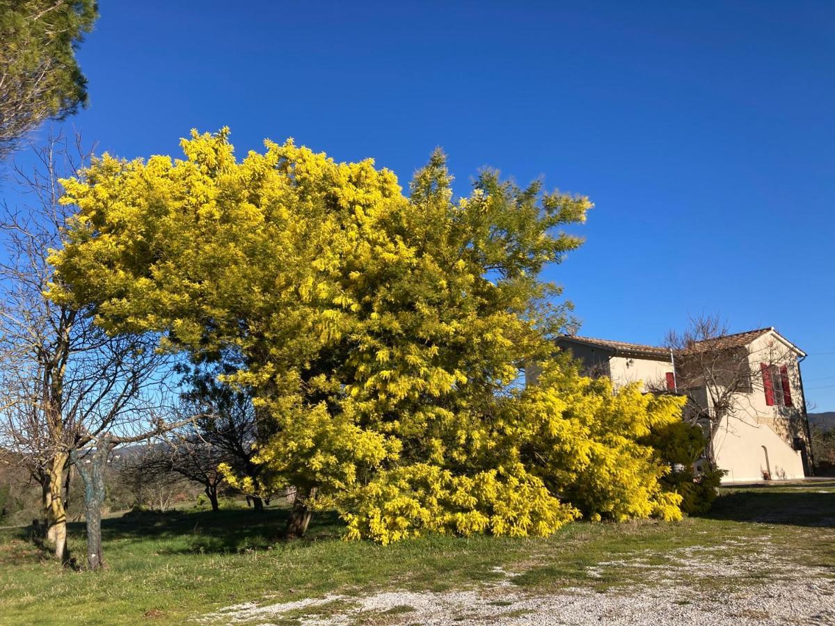 Le Giuncaie - Vigna Con Alloggio مونتيسكودايو المظهر الخارجي الصورة